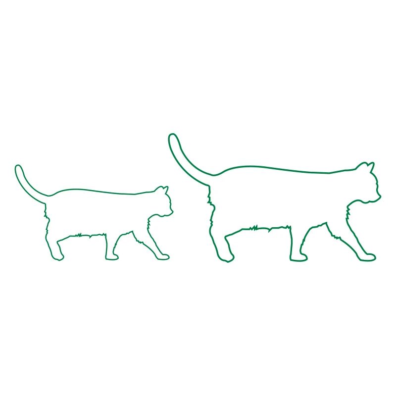 feline