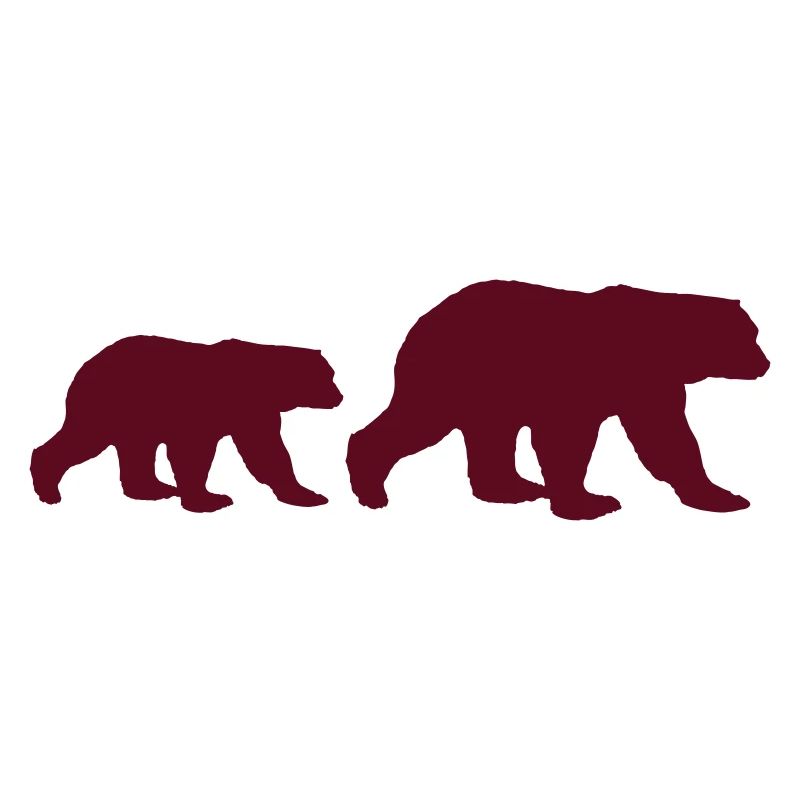 Bears