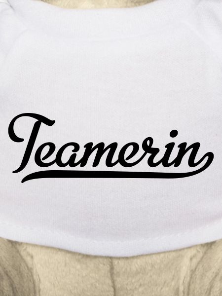 Teamerin