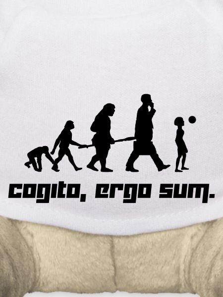 Cogito, ergo sum. (Vector)