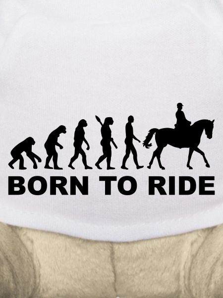 Evolution Reiten
