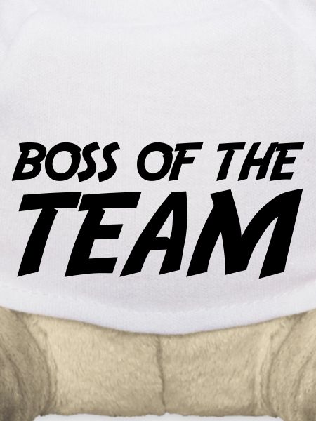 Boss of the Team