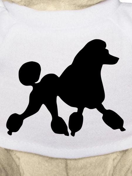 Poodle