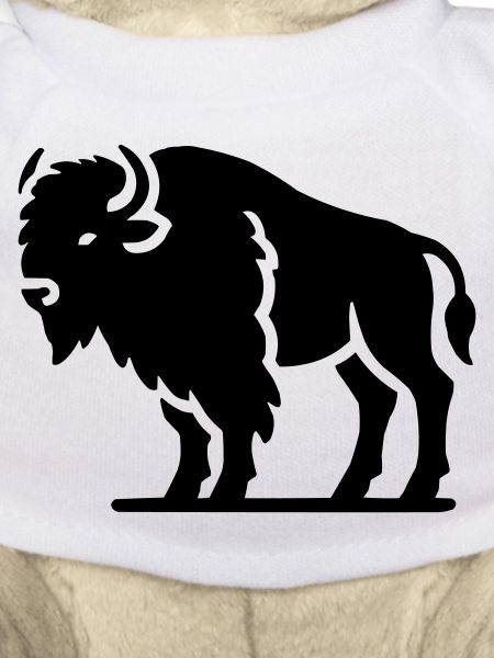 Bison Animal