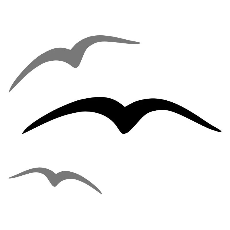 Vogel 3