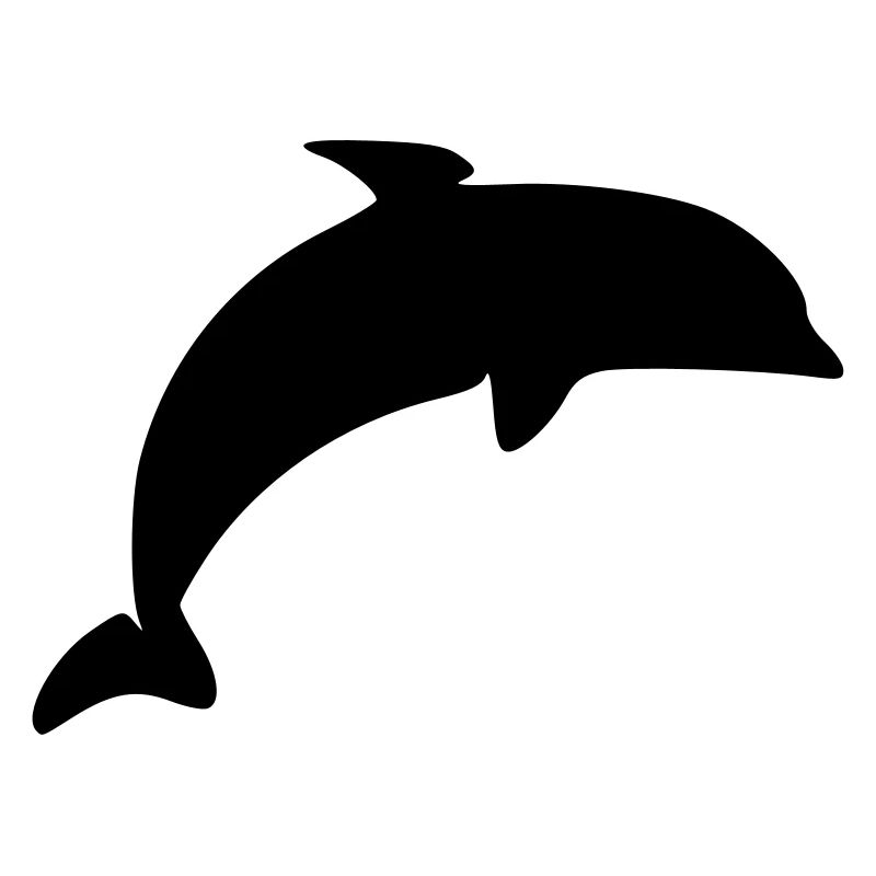 Dolphin