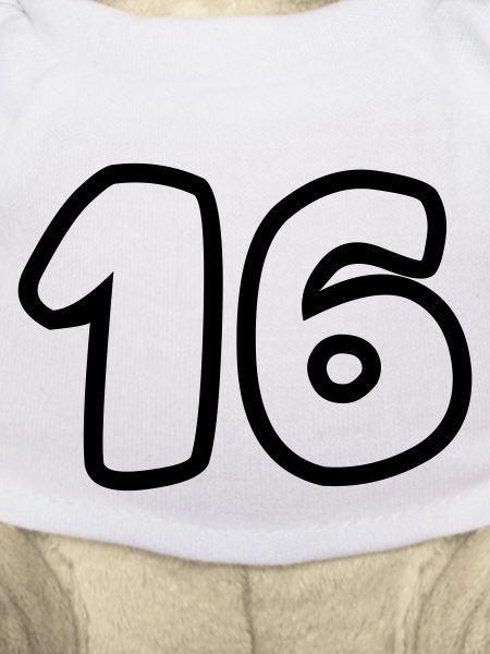 16