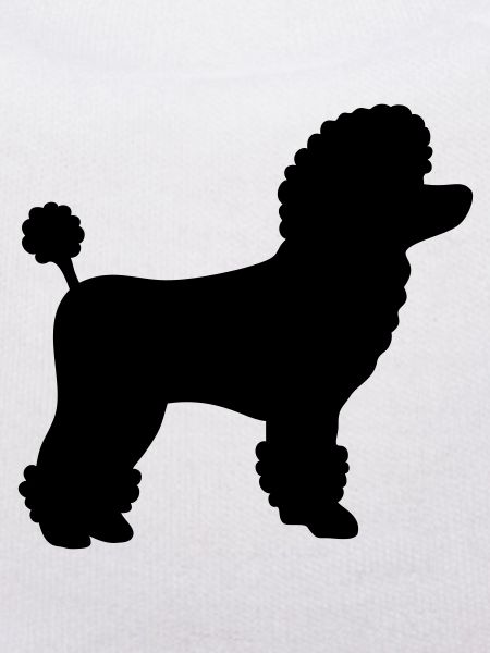 Poodle gift