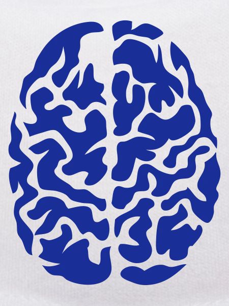 brain seen on drawing