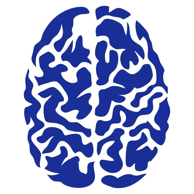 brain seen on drawing