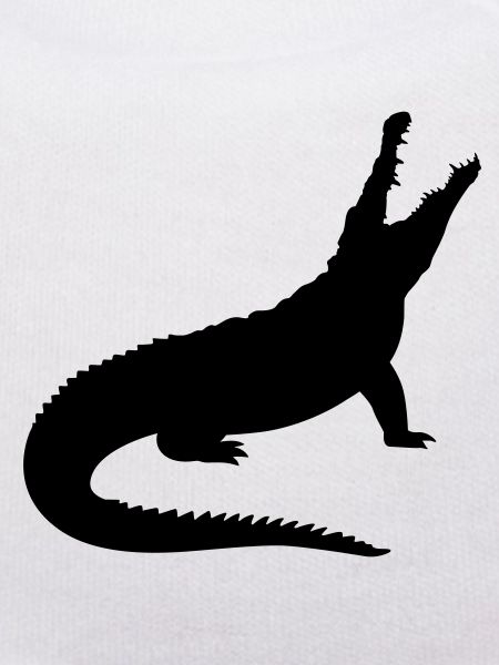 A crocodile