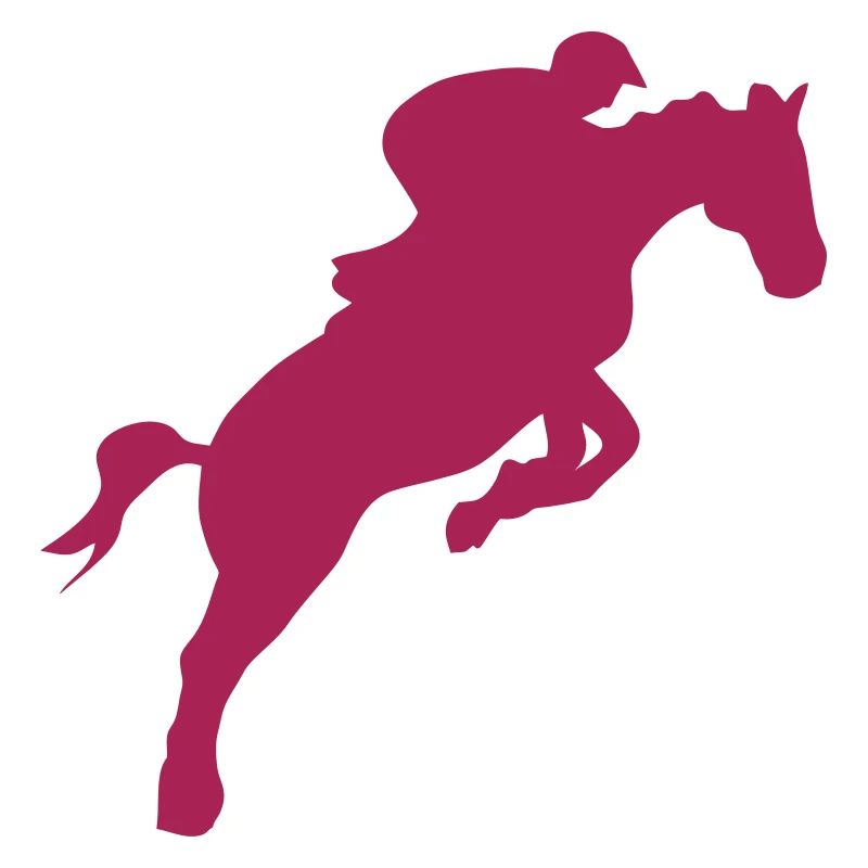 Springpferd springen Springpferd springen