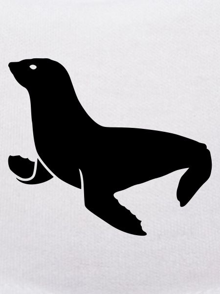 seal animal