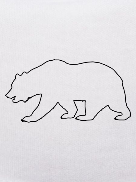 Bear Drawing