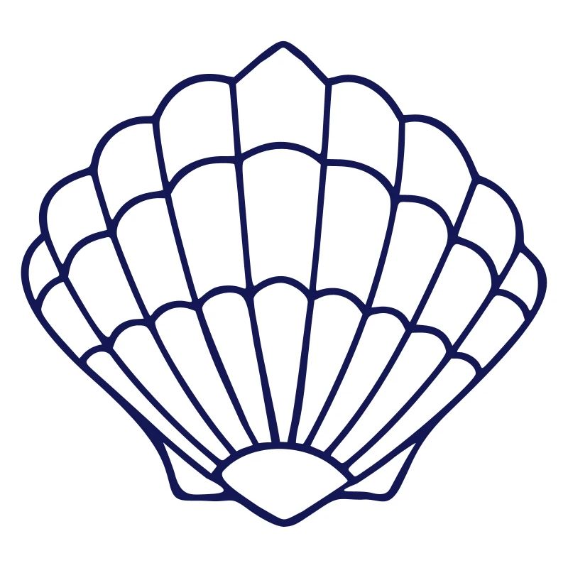 Scallop IXb Blue