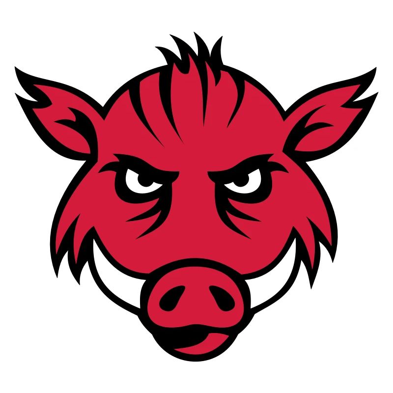 boar face 3c