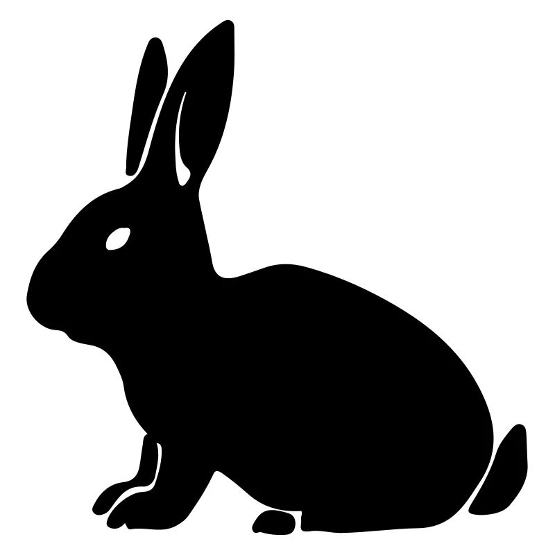 lapin 1