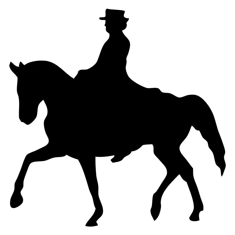 equitation cheval monte ombre