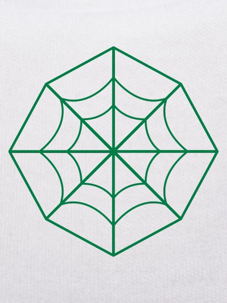 irregular spider web