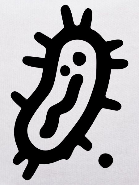 Bacteria