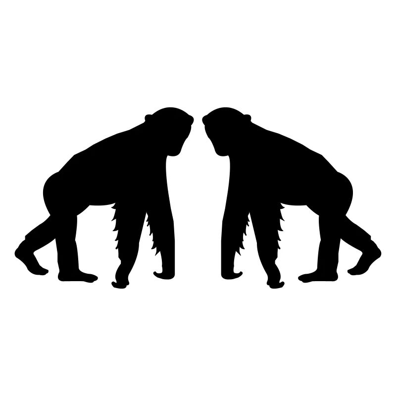 singes 2