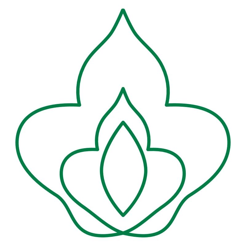 fleur de dame fleur