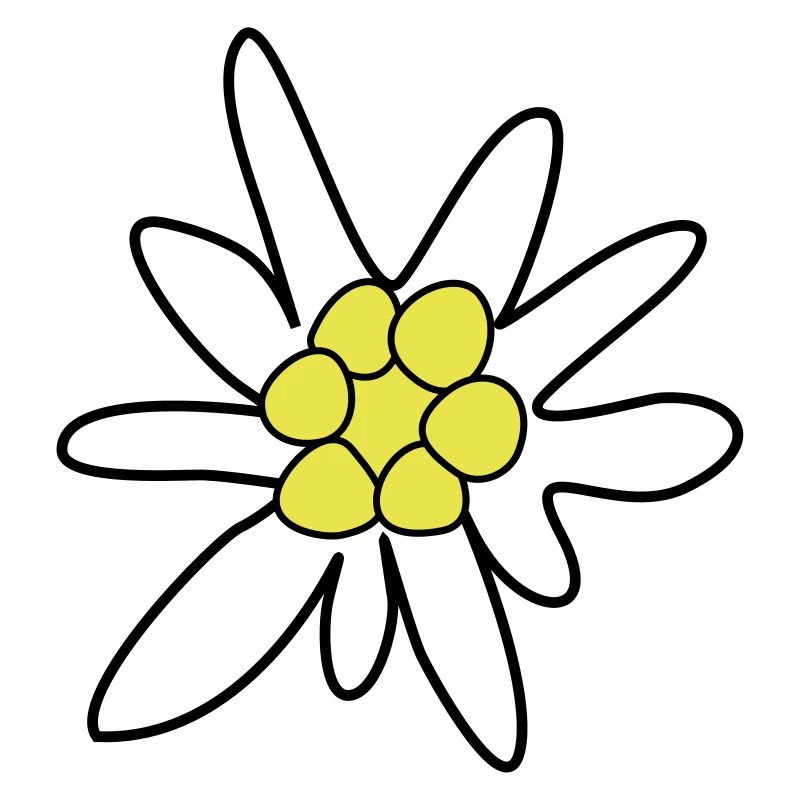 Edelweiss