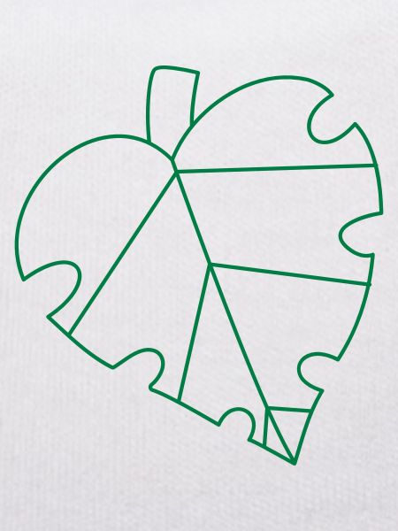Monsteria Monstera feuille