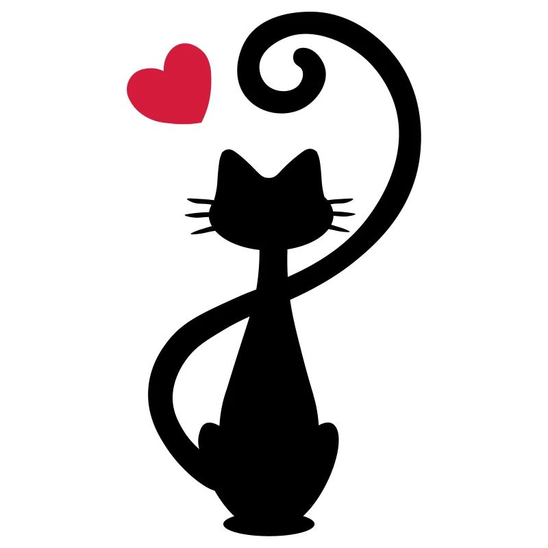 Chat - chat dame - chat - chat - minou