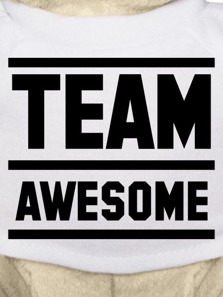 team awesome super Team