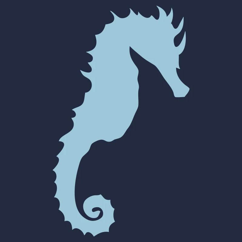 hippocampe forme 0