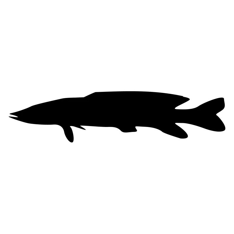 silhouette de brochet de poisson