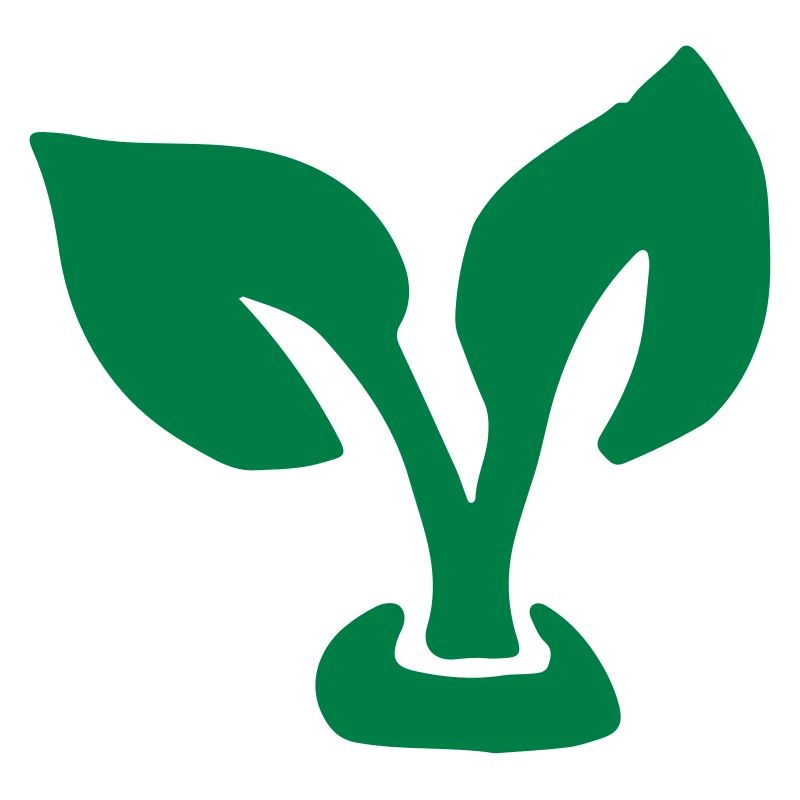 Feuille gross / leaf - plant - Germin