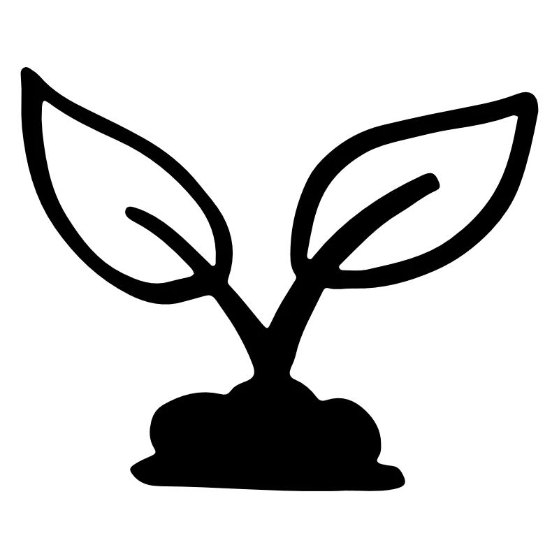 Seedling two-leafed - sprout - plant - sprout