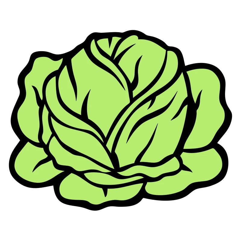 cabbage cabbage vegetables 403