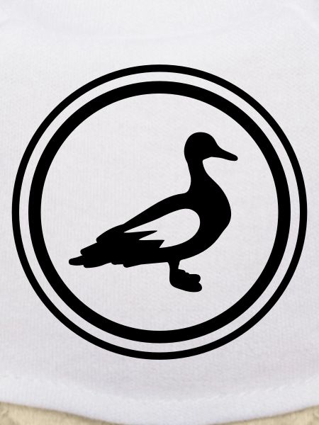 Duck animal