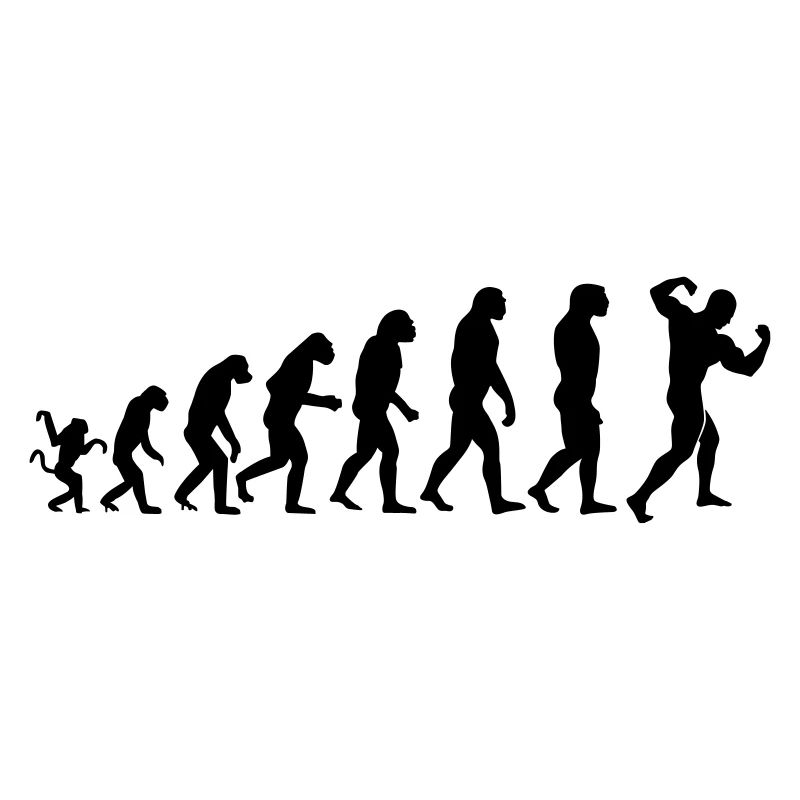Evolution de la musculation
