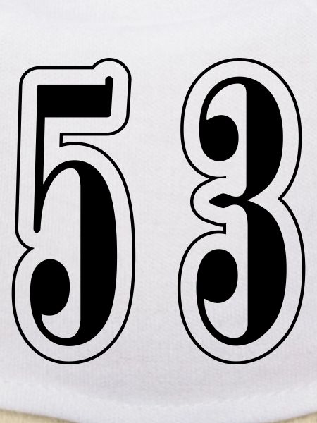 53 Number Symbol