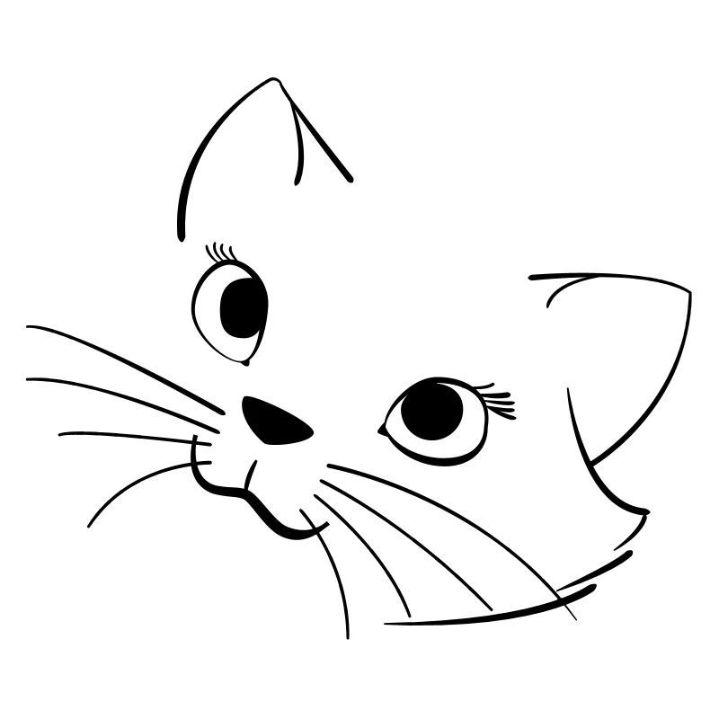 Schöne Katze