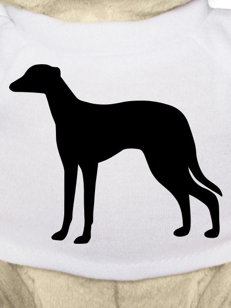 Greyhound Dog