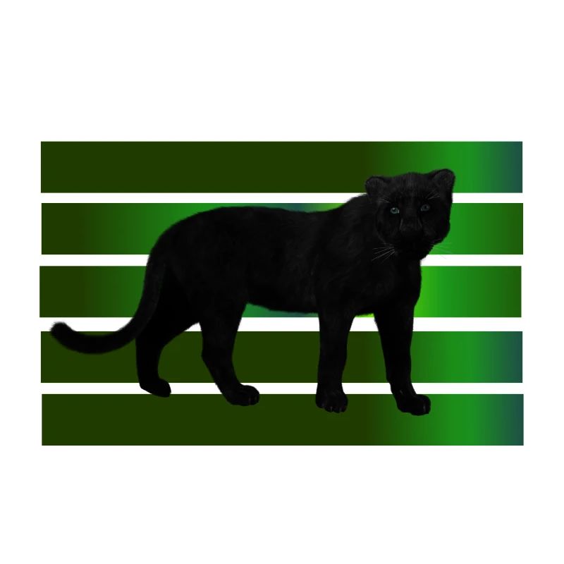 Schwarzer Panther