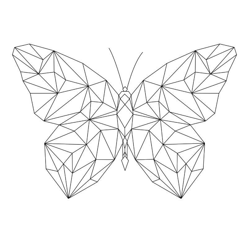 Papillon