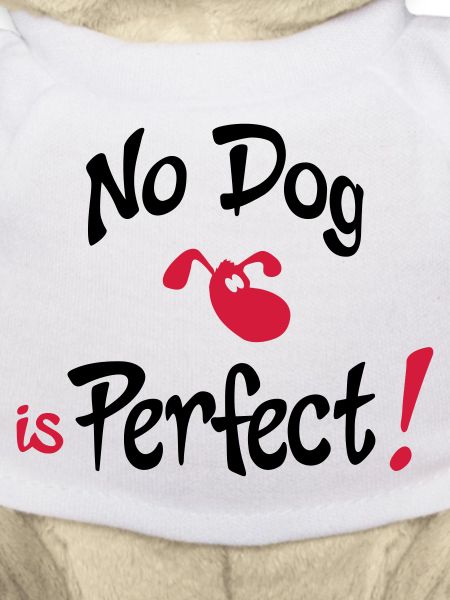 humorous dog