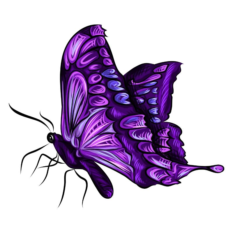 Papillon papillon violet pourpre cadeau