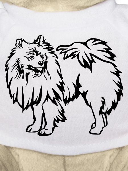 Spitz