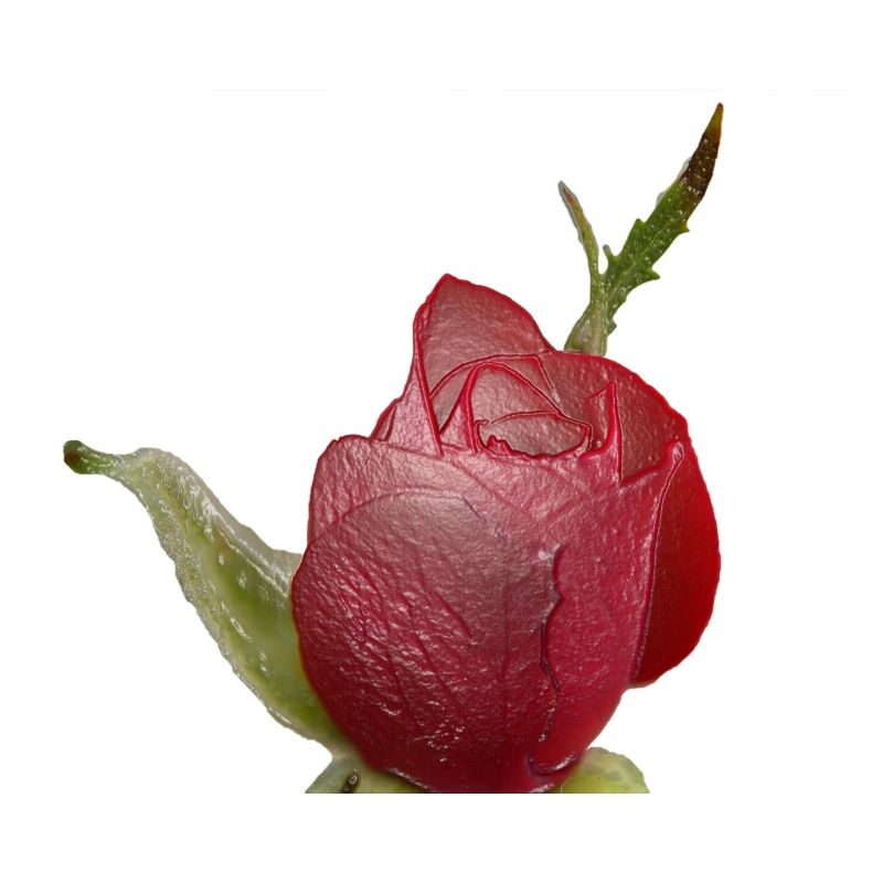 Rote Rose