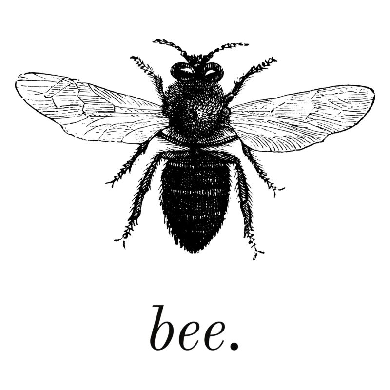 bee.