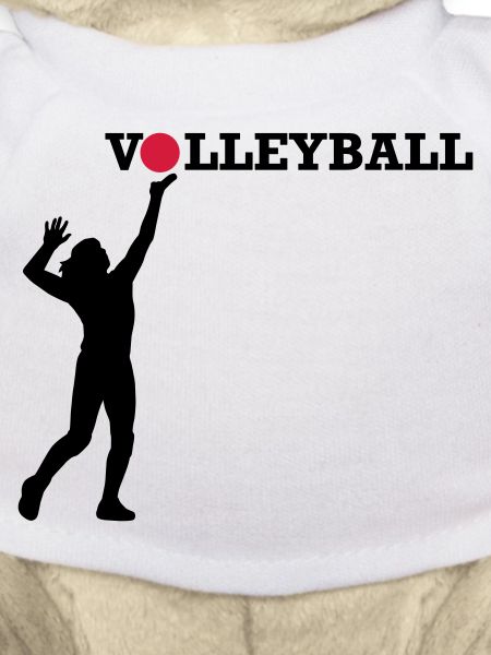 Volleyball