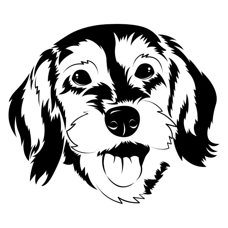 Visage de teckel