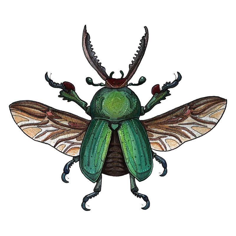 Big Green Beetle - coléoptère vert géant